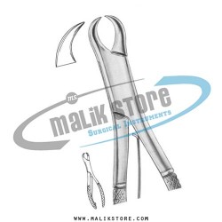 Dental Tooth Extraction Extracting Forceps #17S  American Pattern Forceps