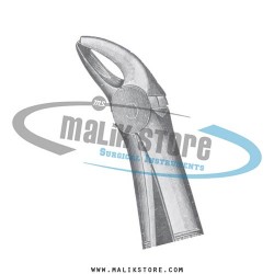 Dental Tooth Extraction Extracting Forceps #10 American Pattern Forceps