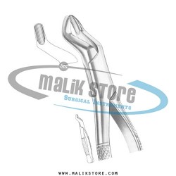 Dental Tooth Extraction Extracting Forceps #10S American Pattern Forceps