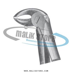 Dental Tooth Extraction Extracting Forceps #15 English Pattern Forceps