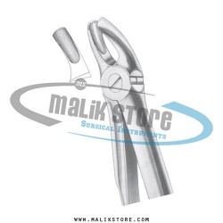 English Pattern Forceps