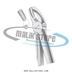 English Pattern Forceps