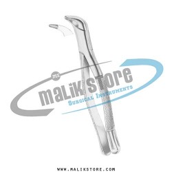 Dental Tooth Extraction Extracting Forceps #203 American Pattern Forceps