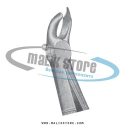 Dental Tooth Extraction Extracting Forceps # 28  English Pattern Forceps