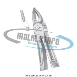 Dental Tooth Extraction Extracting Forceps # 29S  English Pattern Forceps