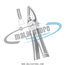 Dental Tooth Extraction Extracting Forceps #2 English Pattern Forceps