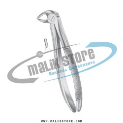 Dental Tooth Extraction Extracting Forceps # 33S  English Pattern Forceps