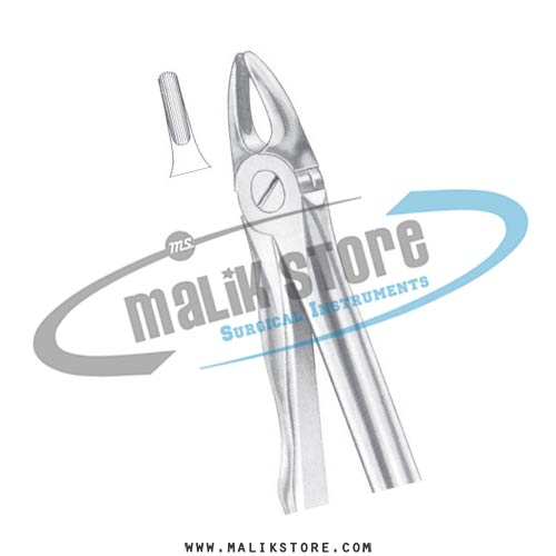 Dental Tooth Extraction Extracting Forceps # 37  English Pattern Forceps