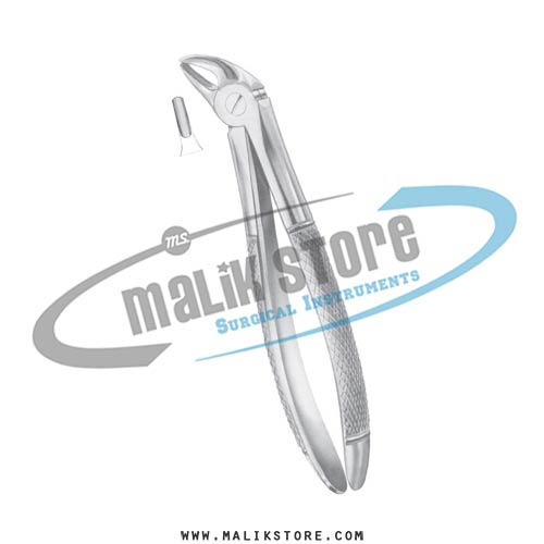  English Pattern Forceps