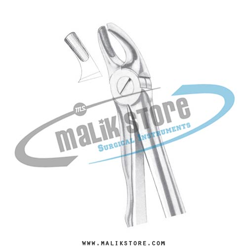 English Pattern Forceps