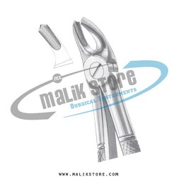 English Pattern Forceps