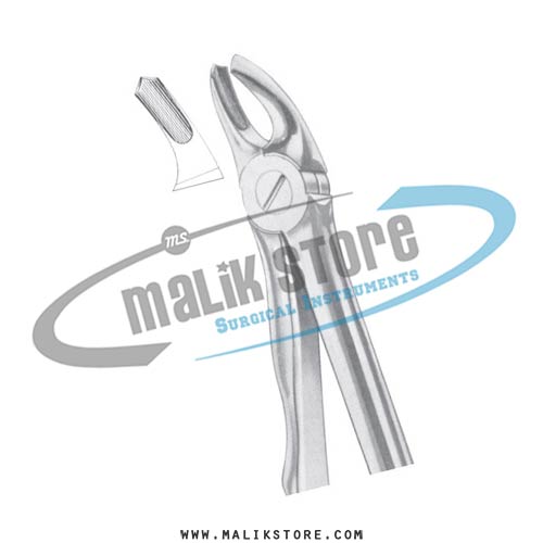 English Pattern Forceps Fig 39R upper molars Right for children