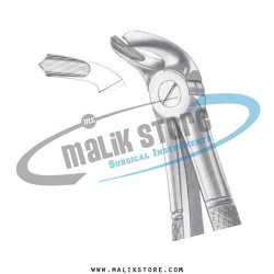 Dental Tooth Extraction Extracting Forceps #40 English Pattern Forceps