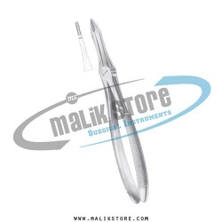 English Pattern Forceps Fig 41 Upper Roots