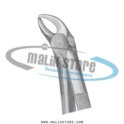 Dental Tooth Extraction Extracting Forceps #5 English Pattern Forceps