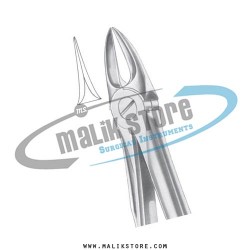 Dental Tooth Extraction Extracting Forceps # 54  English Pattern Forceps