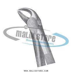 Dental Tooth Extraction Extracting Forceps #6 English Pattern Forceps