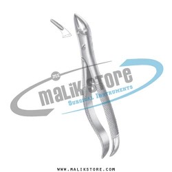 Dental Tooth Extraction Extracting Forceps # 76N  English Pattern Forceps