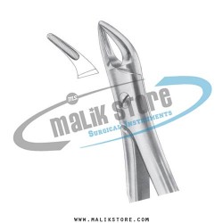 Dental Tooth Extraction Extracting Forceps # 76N  English Pattern Forceps
