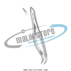 Dental Tooth Extraction Extracting Forceps # 76S English Pattern Forceps