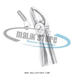 Dental Tooth Extraction Extracting Forceps # 7 English Pattern Forceps