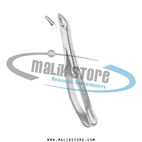 American Pattern Forceps Fig 150 lowe ins cisors premolars roots