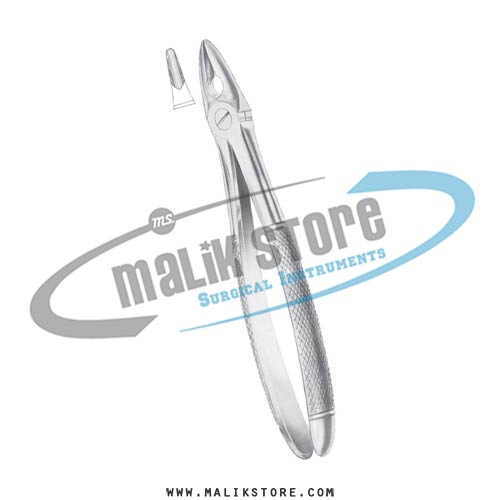 English Pattern Forceps