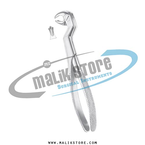  English Pattern Forceps