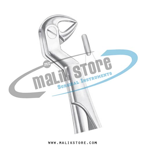  English Pattern Forceps