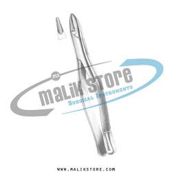 Dental Tooth Extraction Extracting Forceps #1 American Pattern Forceps