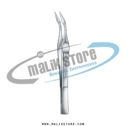 walter carmalt splinter 