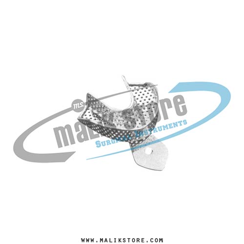 impression tray perforated full denture