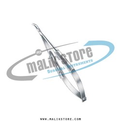 micro needle