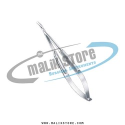 micro needle       